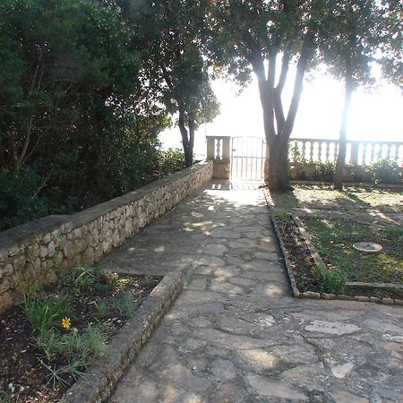 Villa Luna With Seaview Petrčane Zewnętrze zdjęcie